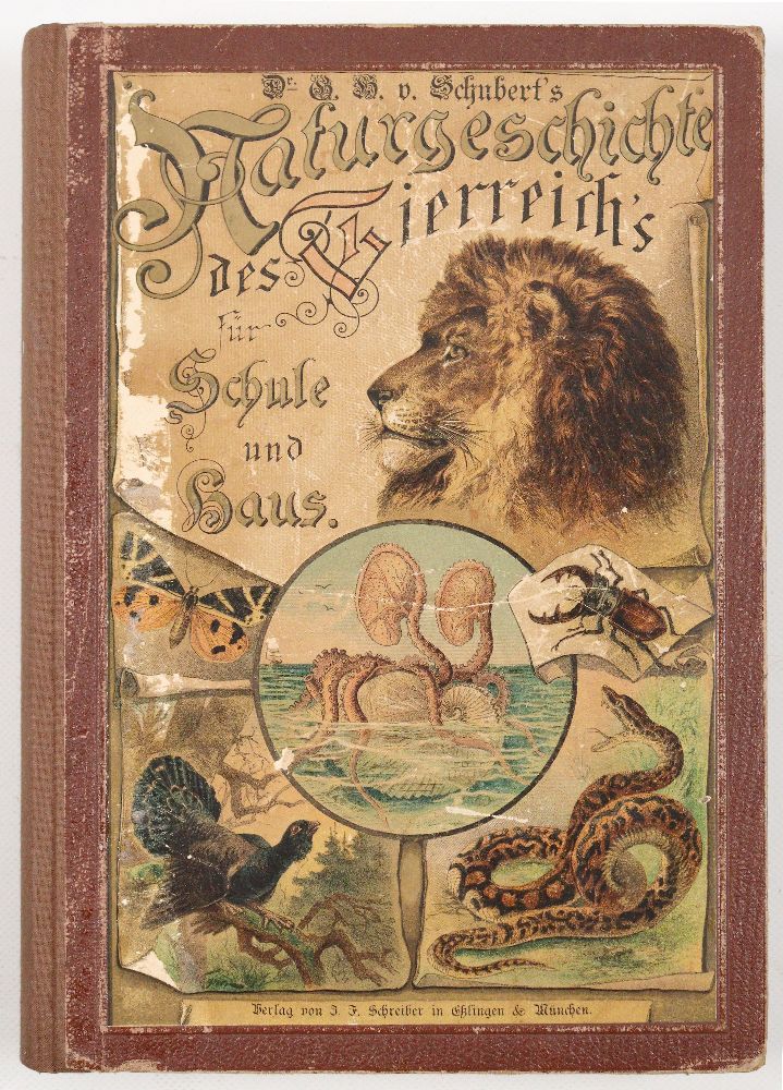Große Abbildung Nr.1: 140-1926 Schubert,G.H.v.: (Zoologie)