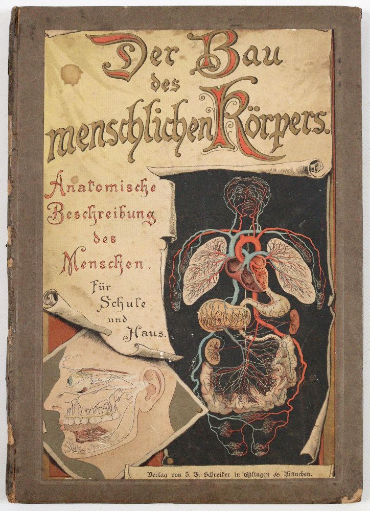 Große Abbildung Nr.3: 140-1926 Schubert,G.H.v.: (Zoologie)