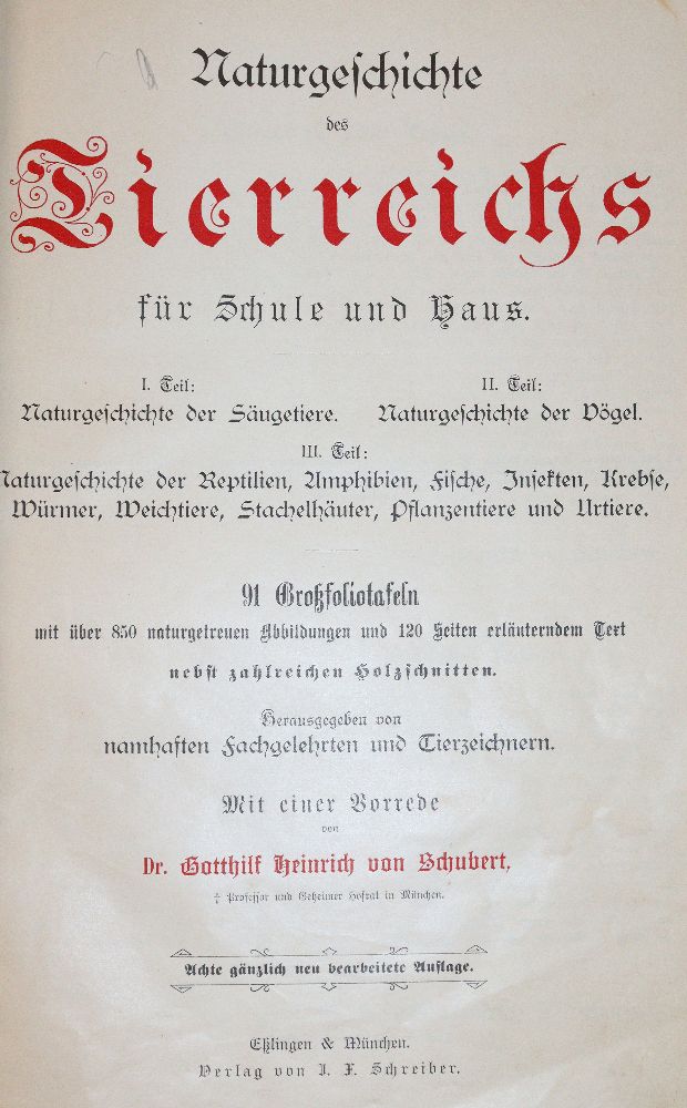 Große Abbildung Nr.4: 140-1926 Schubert,G.H.v.: (Zoologie)