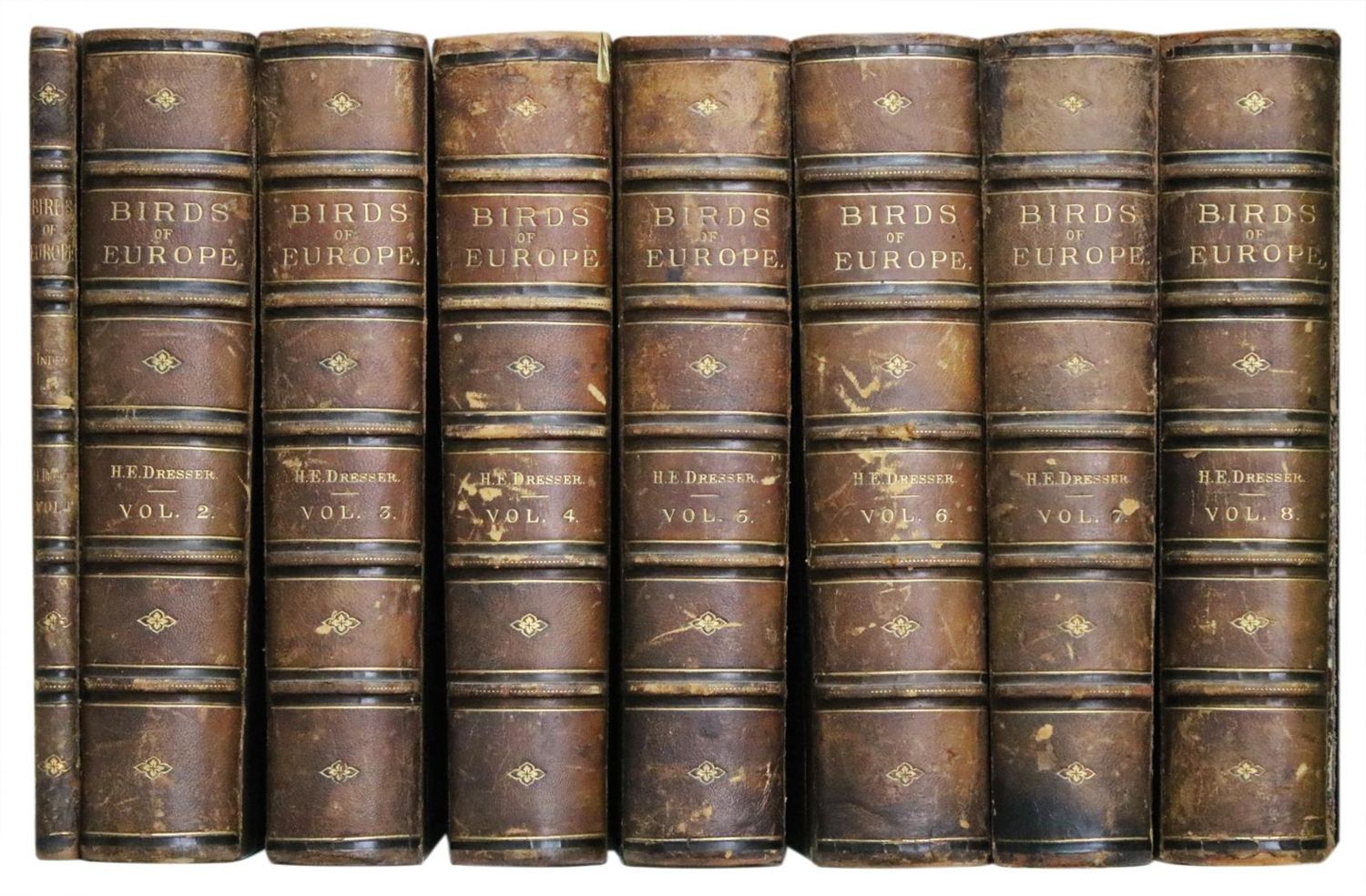 Große Abbildung Nr.4: 140-1930 Dresser,H.E.: (Zoologie, Vögel)