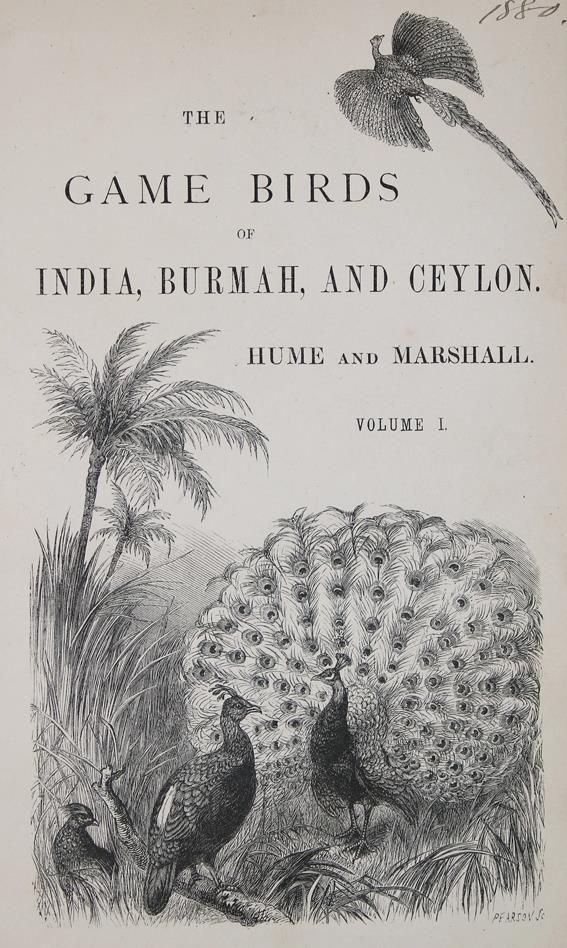 Große Abbildung Nr.1: 140-1934 Hume,A.O. u. C.H.T.Marshall.: (Zoologie, Vögel)