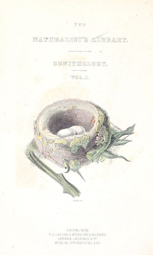 Große Abbildung Nr.5: 140-1935 Jardine,W.: (Zoologie, Vögel, Kolibris)