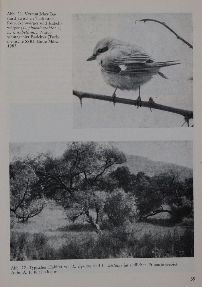 Große Abbildung Nr.1: 140-1939 Ornithologie.: (Zoologie, Vögel)