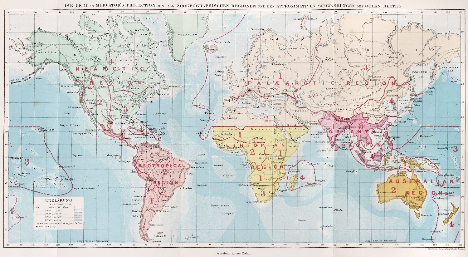 Große Abbildung Nr.2: 140-1945 Wallace,A.R.: (Zoologie)