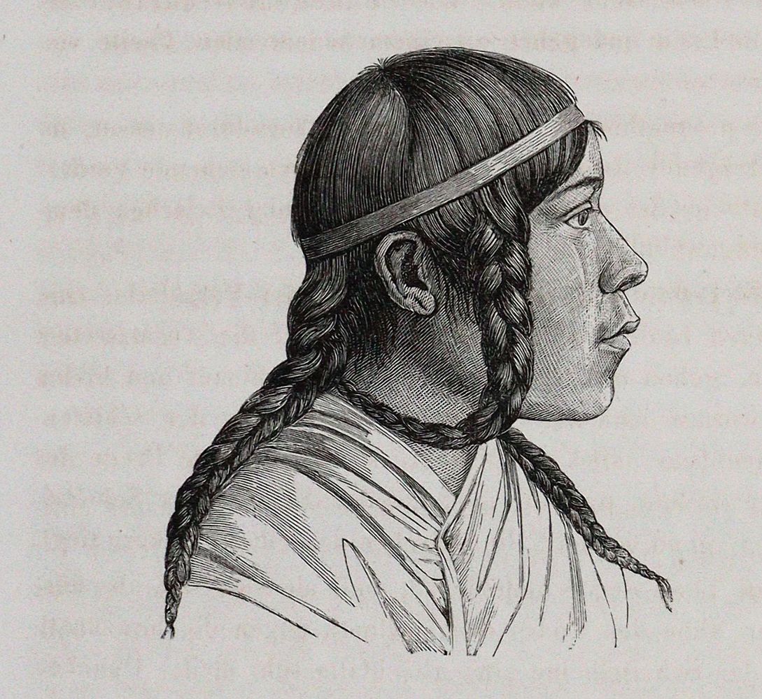 Große Abbildung Nr.2: 140-1953 Retzius,A.: (Verschiedene Gebiete - Varia, Anthropologie)