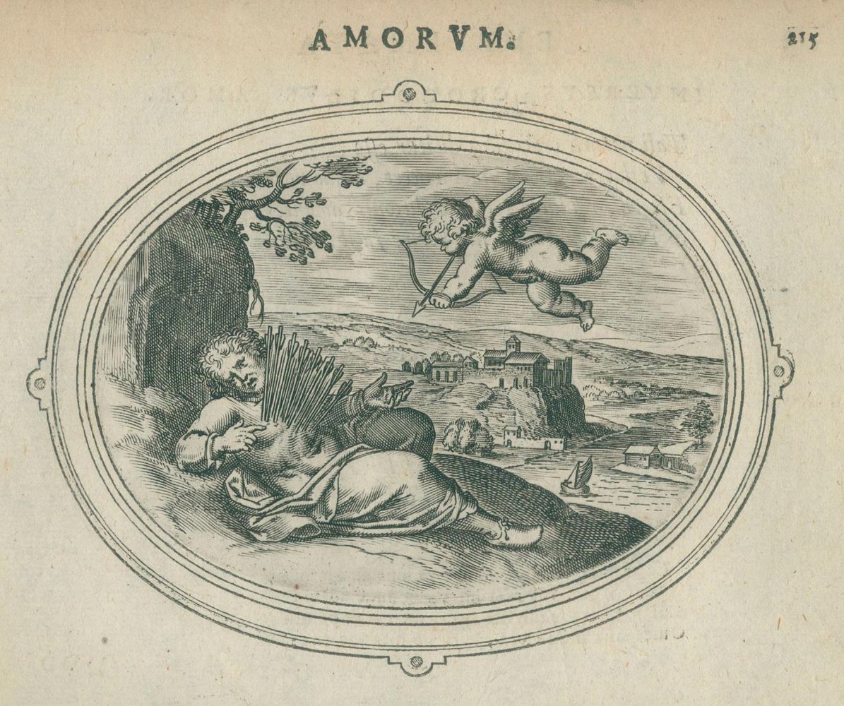 Große Abbildung Nr.2: 140-196 Vaenius,O.: (Emblemata)