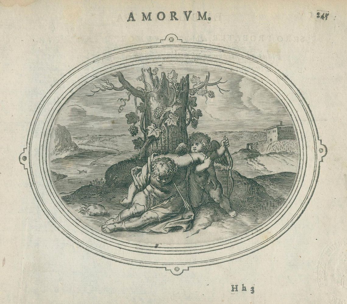 Große Abbildung Nr.3: 140-196 Vaenius,O.: (Emblemata)