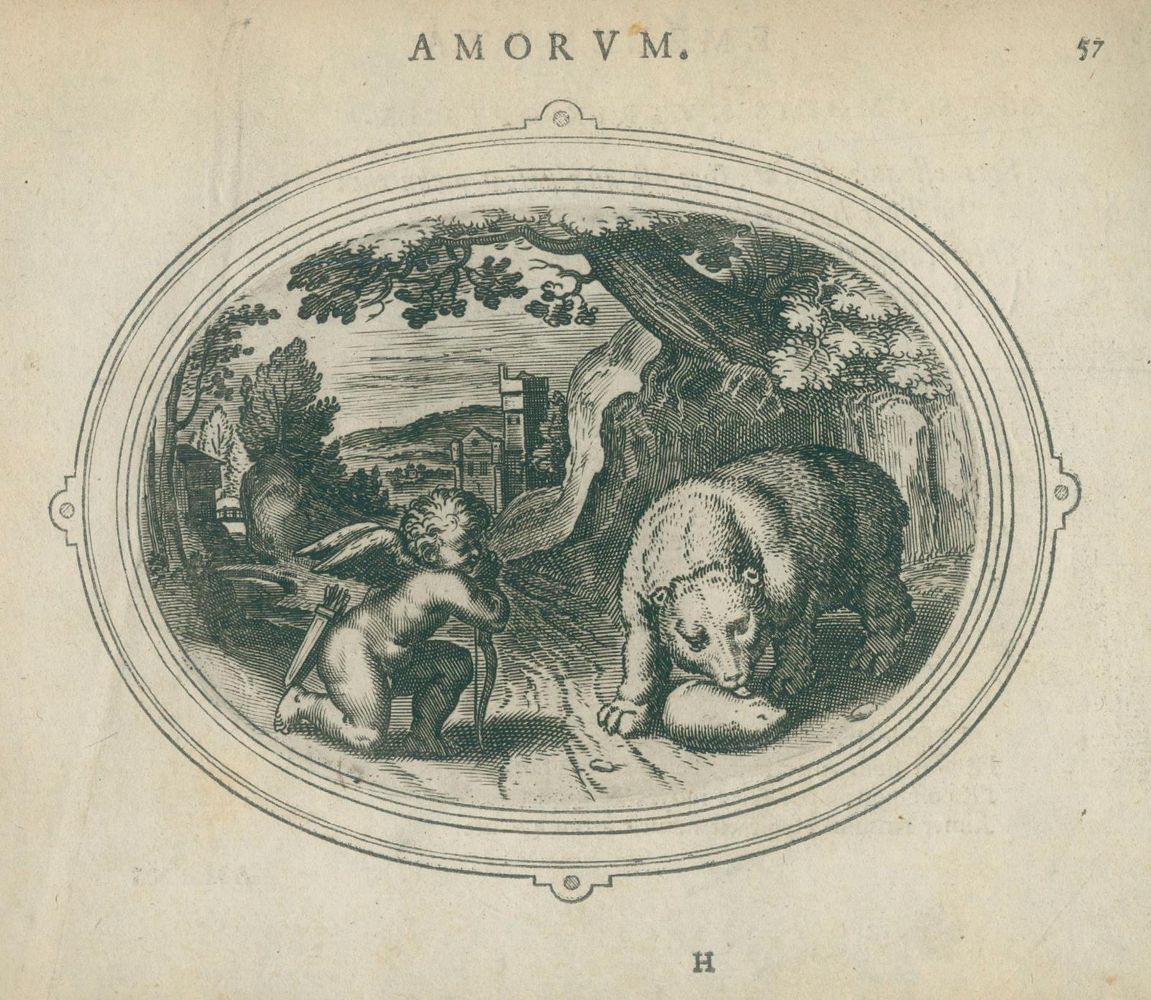 Große Abbildung Nr.4: 140-196 Vaenius,O.: (Emblemata)
