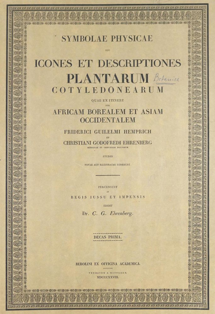 Große Abbildung Nr.4: 140-1980 Ehrenberg,C.G.: (Verschiedene Gebiete - Varia)