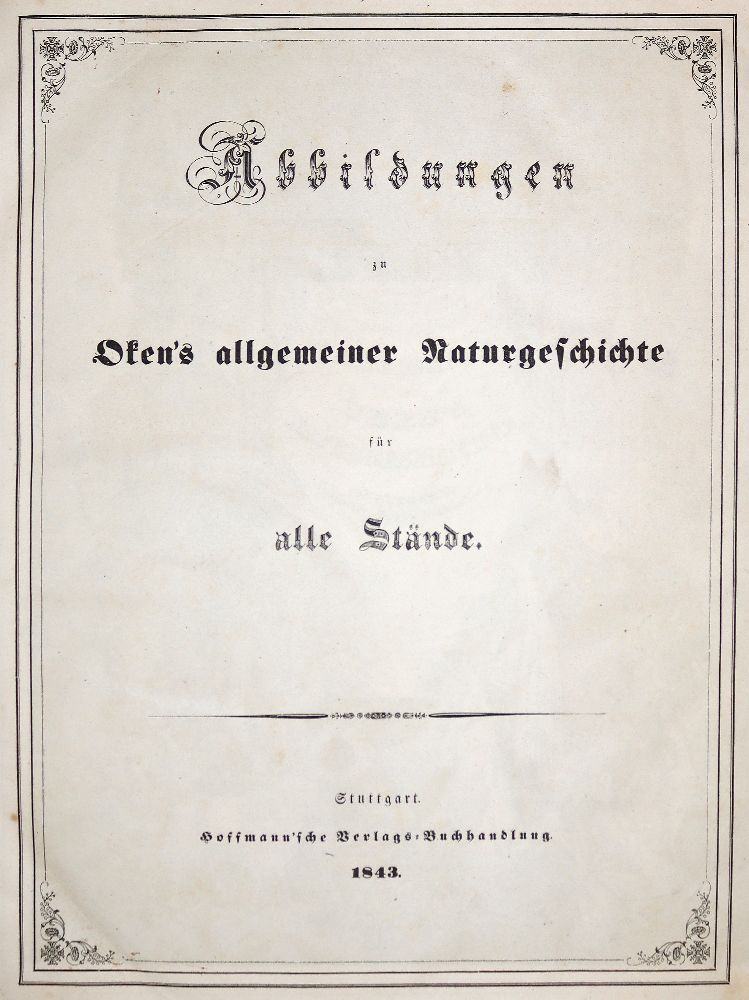 Große Abbildung Nr.1: 140-2041 Oken,(L.).: (Verschiedene Gebiete - Varia)