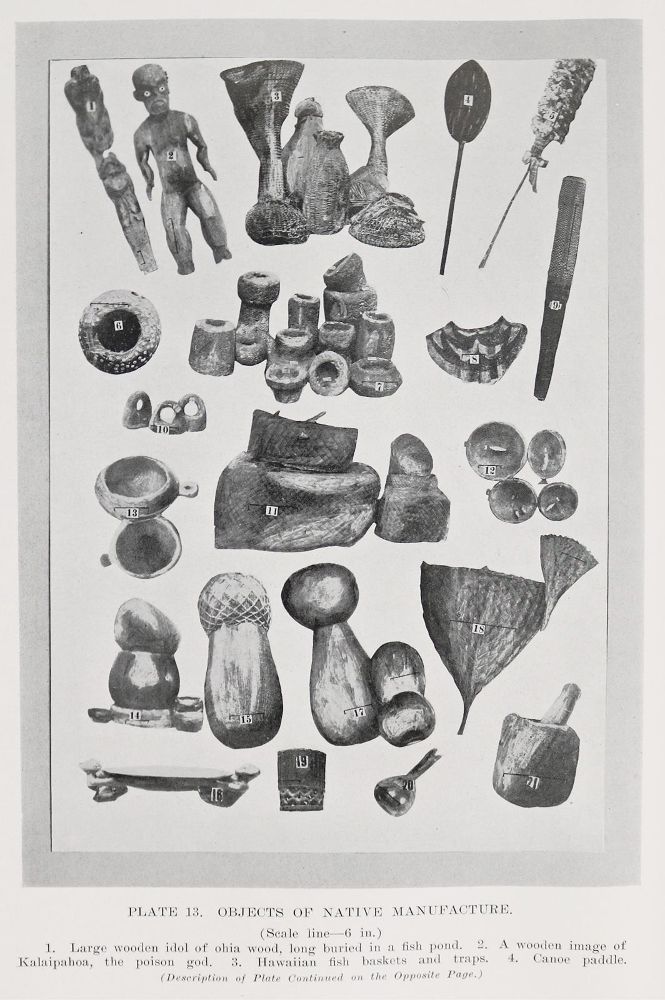Große Abbildung Nr.1: 140-2120 Bryan,W.A.: (Amerika, Hawaii)