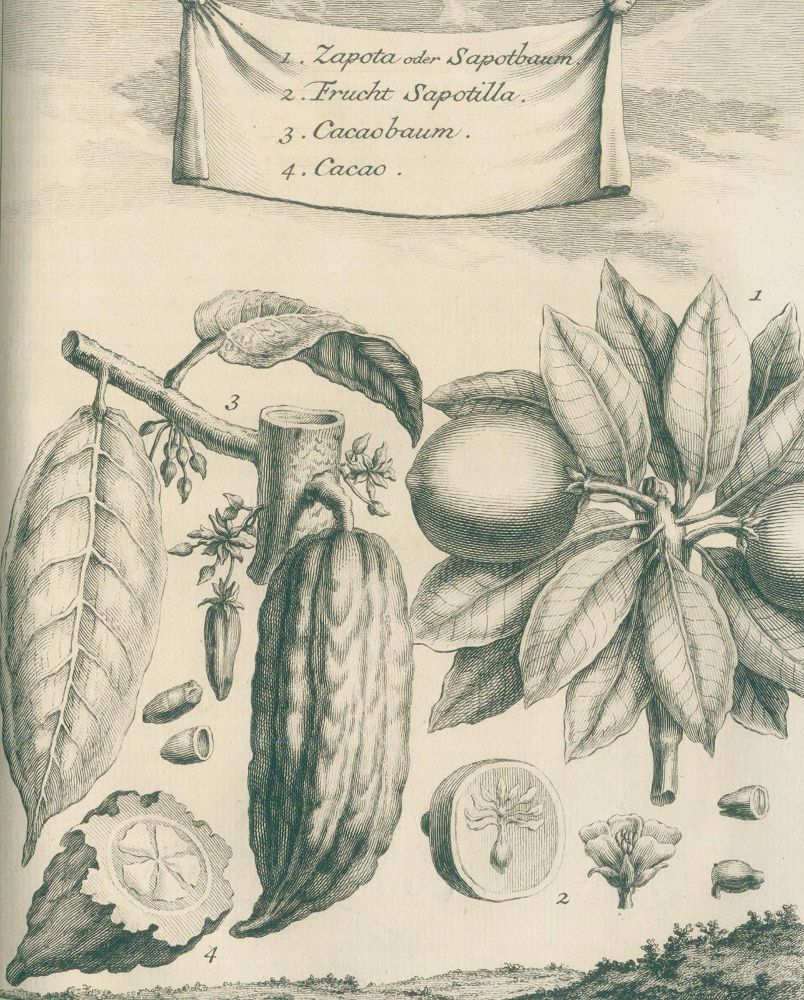 Große Abbildung Nr.4: 140-2141 (Schwabe,J.J.). Übers.: (Amerika)