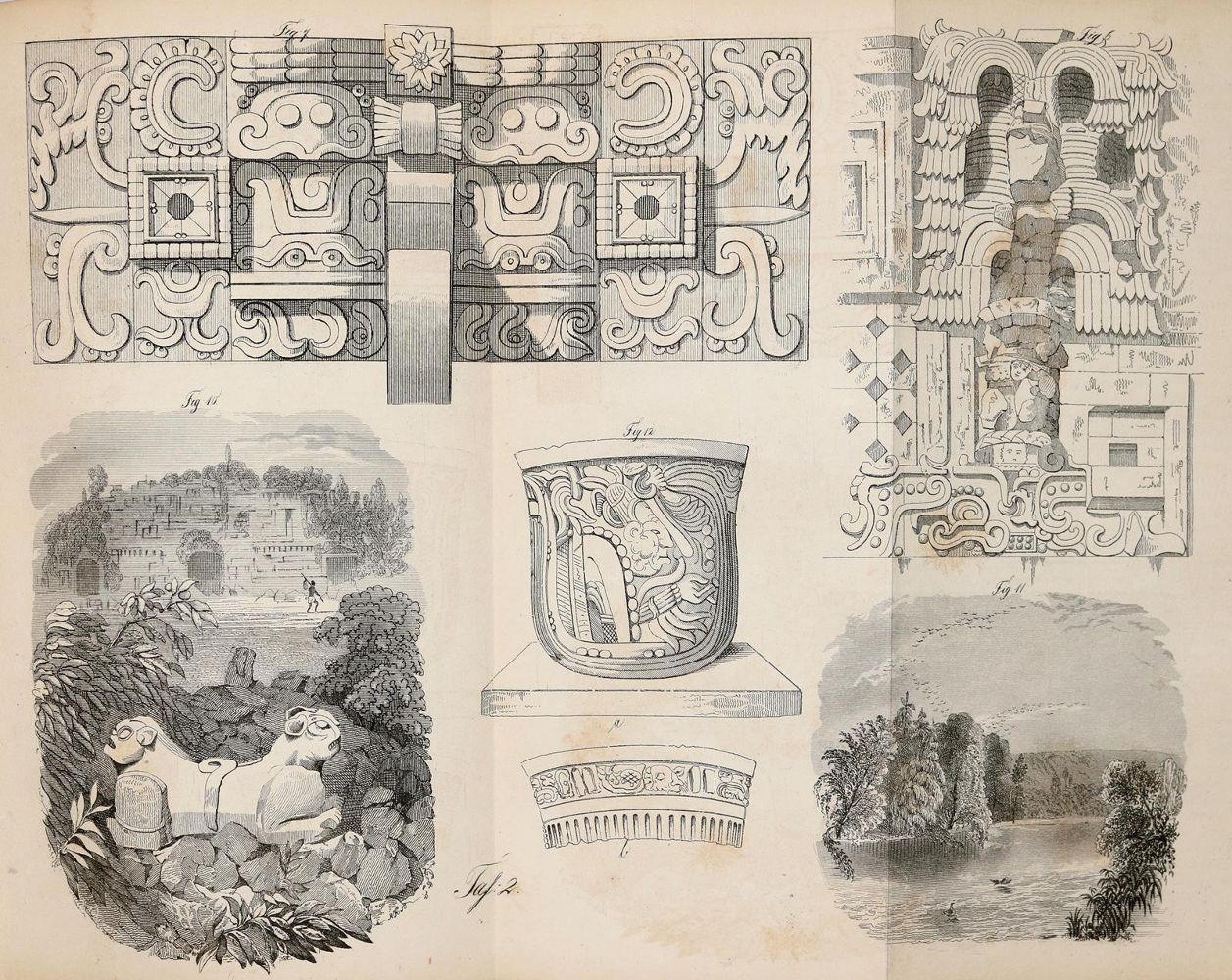 Große Abbildung Nr.5: 140-2144 Stephens,J.L.: (Amerika)