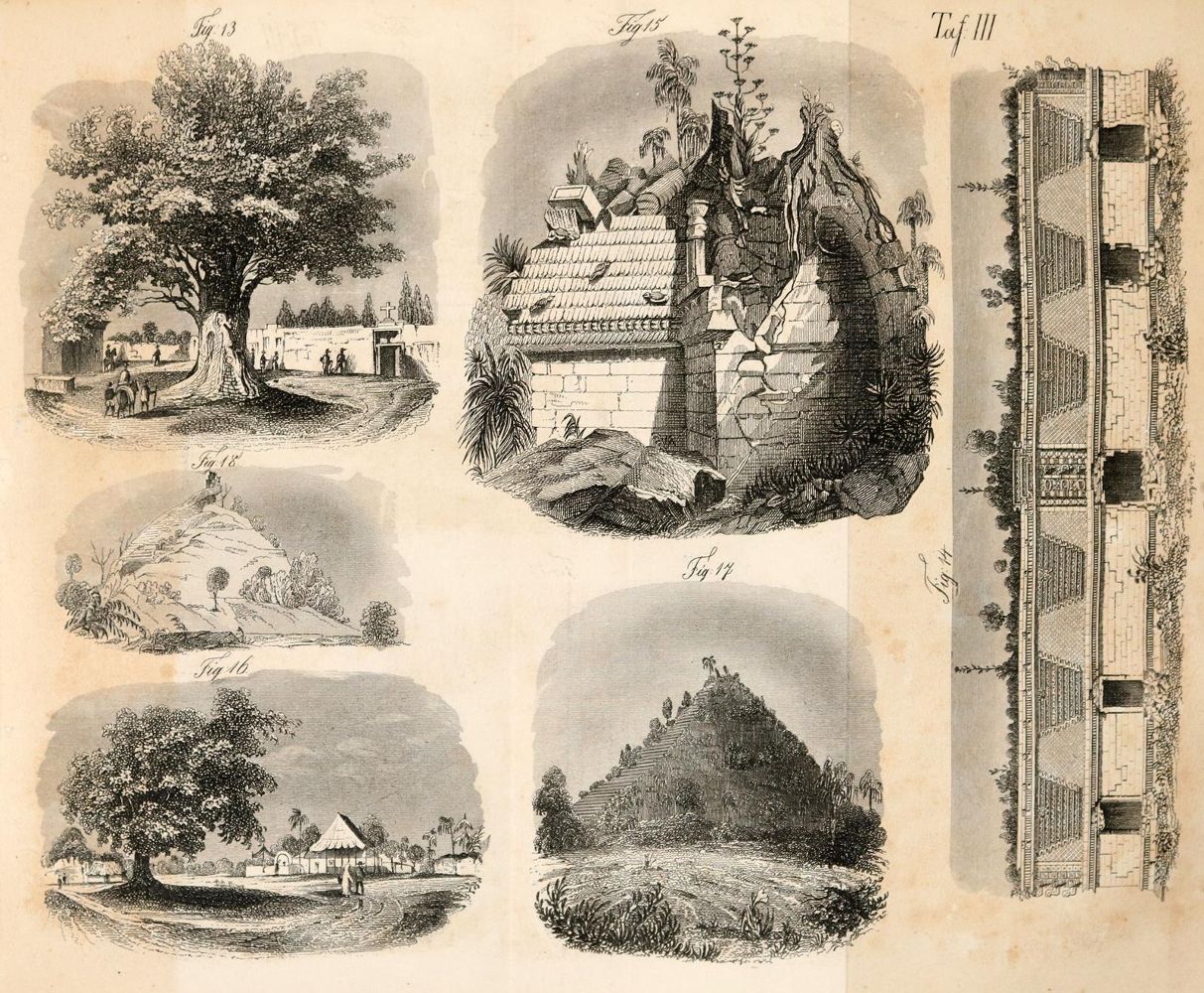Große Abbildung Nr.6: 140-2144 Stephens,J.L.: (Amerika)