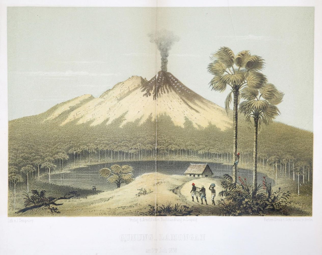 Große Abbildung Nr.1: 140-2189 Junghuhn,F.: (Asien, Java)