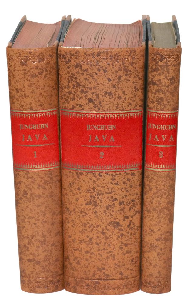 Große Abbildung Nr.3: 140-2189 Junghuhn,F.: (Asien, Java)