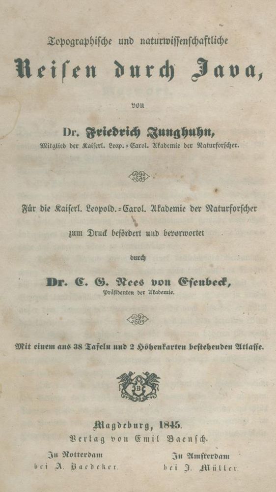 Große Abbildung Nr.1: 140-2190 Junghuhn,F.: (Asien, Java)