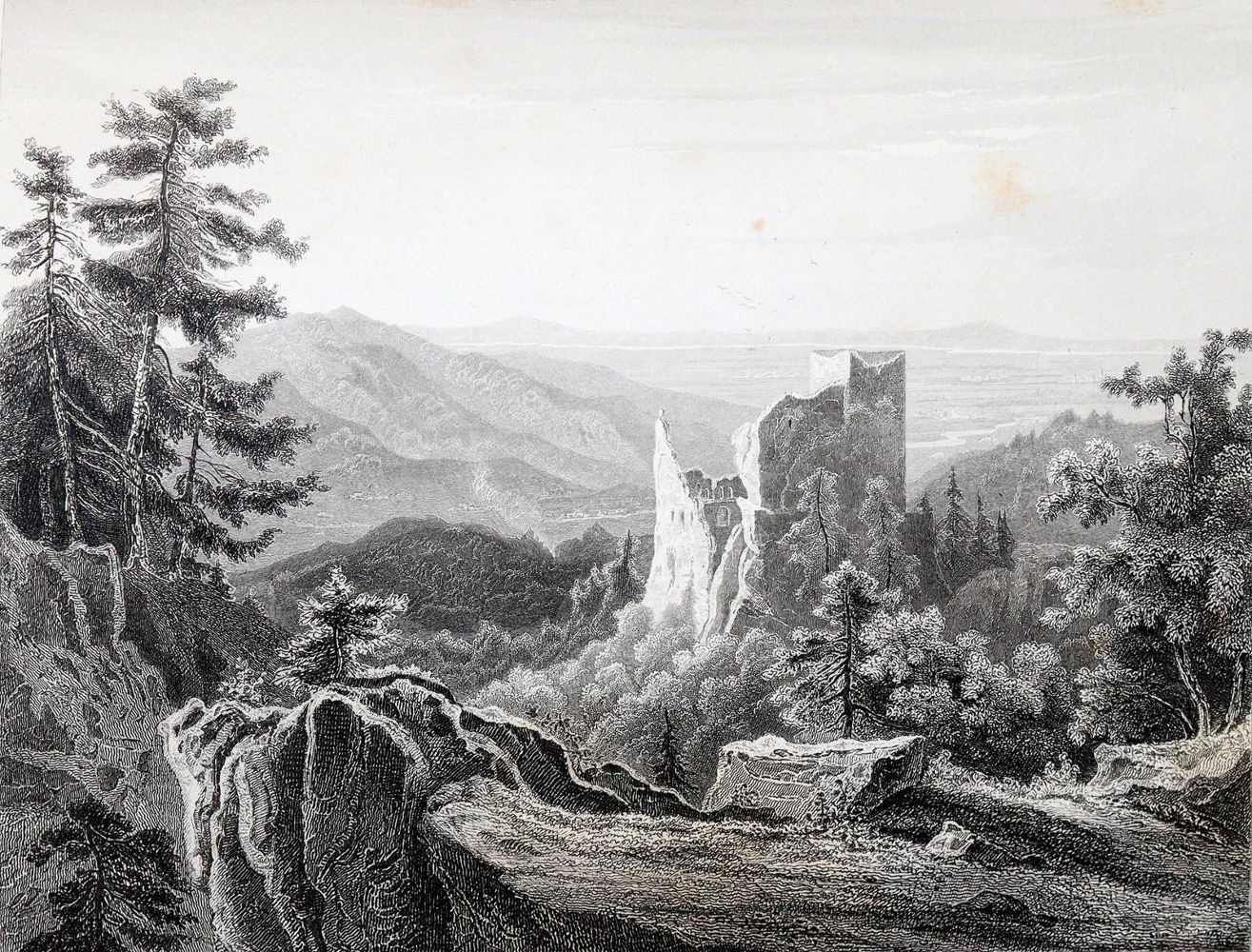 Große Abbildung Nr.2: 140-2239 Huhn,E.: (Deutschland, Baden)