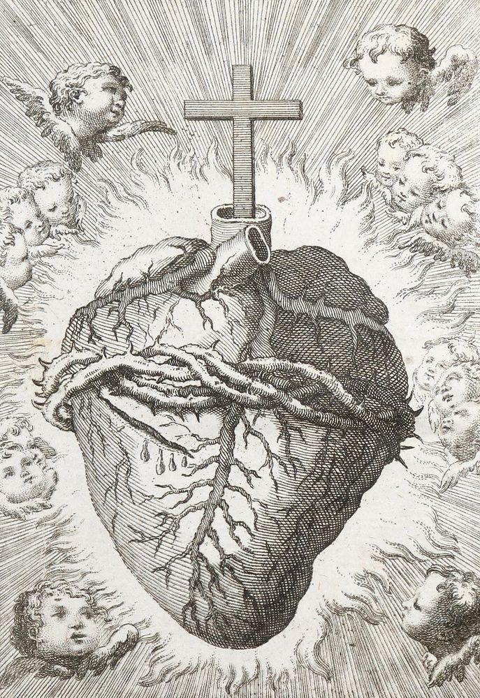 Große Abbildung Nr.2: 140-234 Gallifet,J.v.: (Alte Drucke, Handschriften und Theologie)
