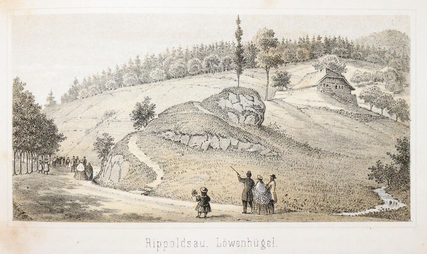 Große Abbildung Nr.3: 140-2378 Sprüngli,J.: (Deutschland, Rippoldsau, Griesbach)