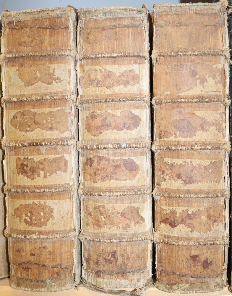 Große Abbildung Nr.2: 140-2407 Hontheim,J.N.v.: (Deutschland, Trier)