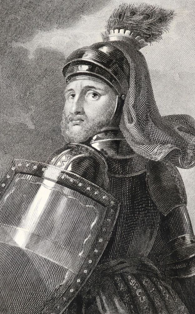 Große Abbildung Nr.2: 140-2515 (Schweickhardt,F.X.J.).: (Österreich)