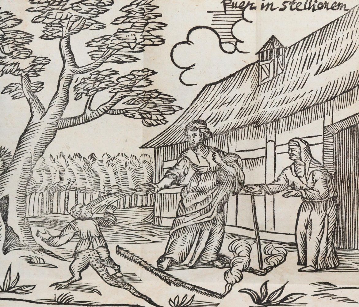 Große Abbildung Nr.3: 140-302 Hardt,H.von der.: (Alte Drucke, Handschriften und Theologie)