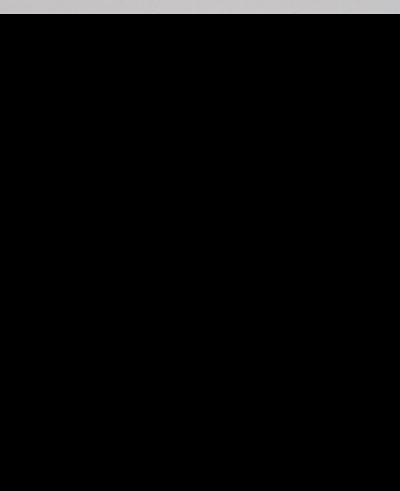 Große Abbildung Nr.2: 140-3086 Muschelkamee in 585 GG: (Schmuck, Broschen)