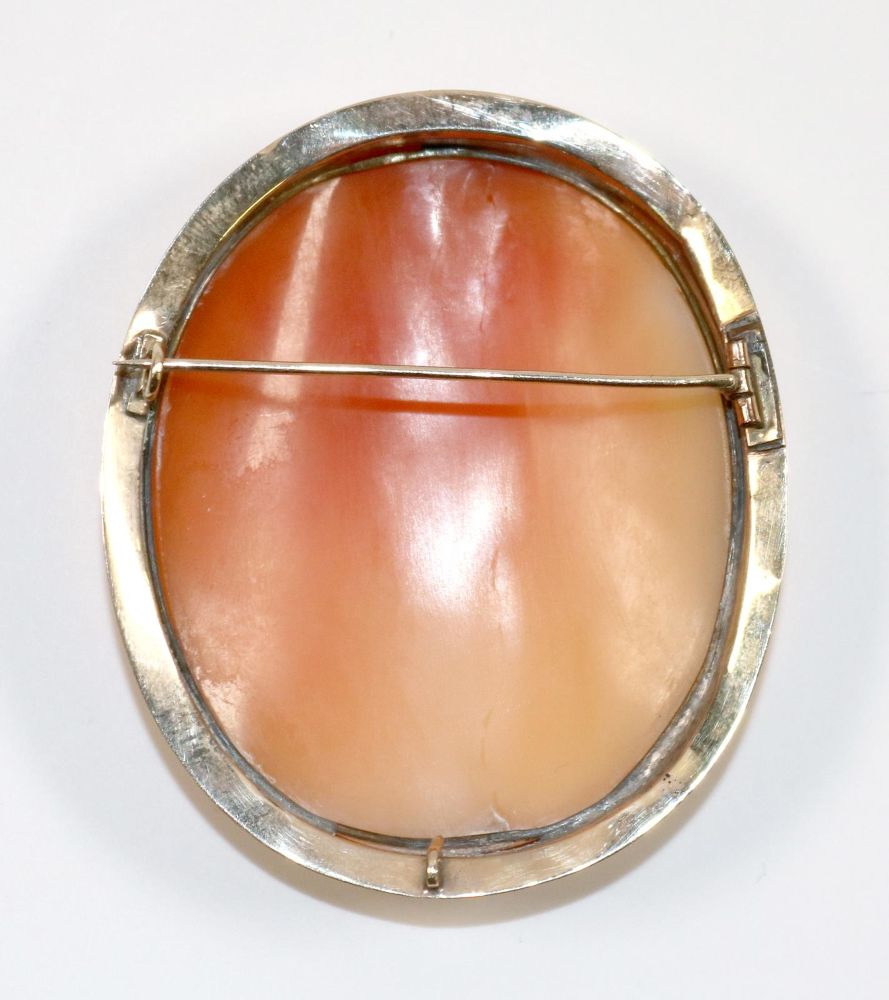 Große Abbildung Nr.2: 140-3091 Prächtige Muschelkamee: (Schmuck, Broschen)