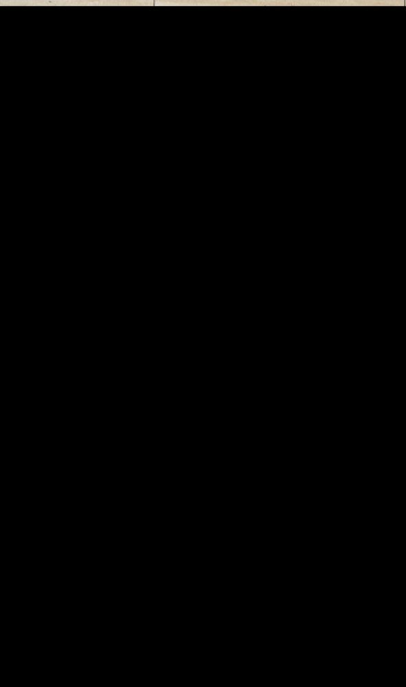 Große Abbildung Nr.7: 140-3309 Antike kaukasische: (Teppiche)