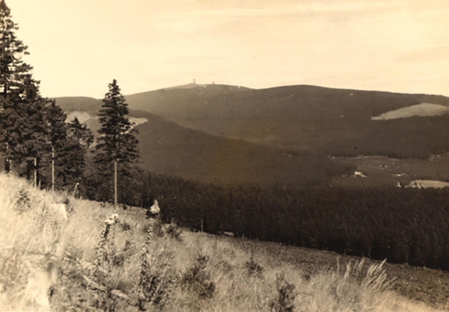 Große Abbildung Nr.2: 140-3348 Rudolphi, Hans.: (Harz)