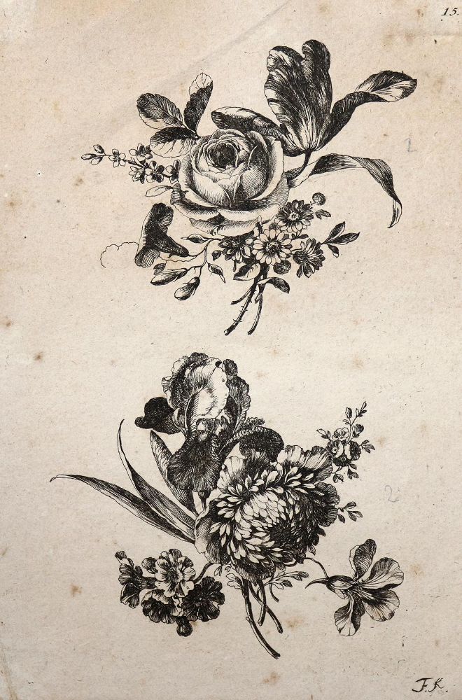 Große Abbildung Nr.7: 140-3395 Amarant oder Fuchsschwanzgewächse.: (Varia, Botanik)