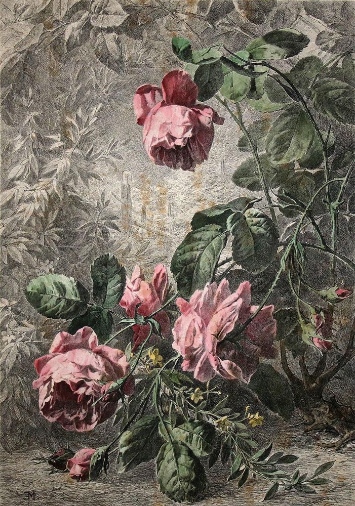 Große Abbildung Nr.6: 140-3404 Blumen.: (Varia, Botanik)