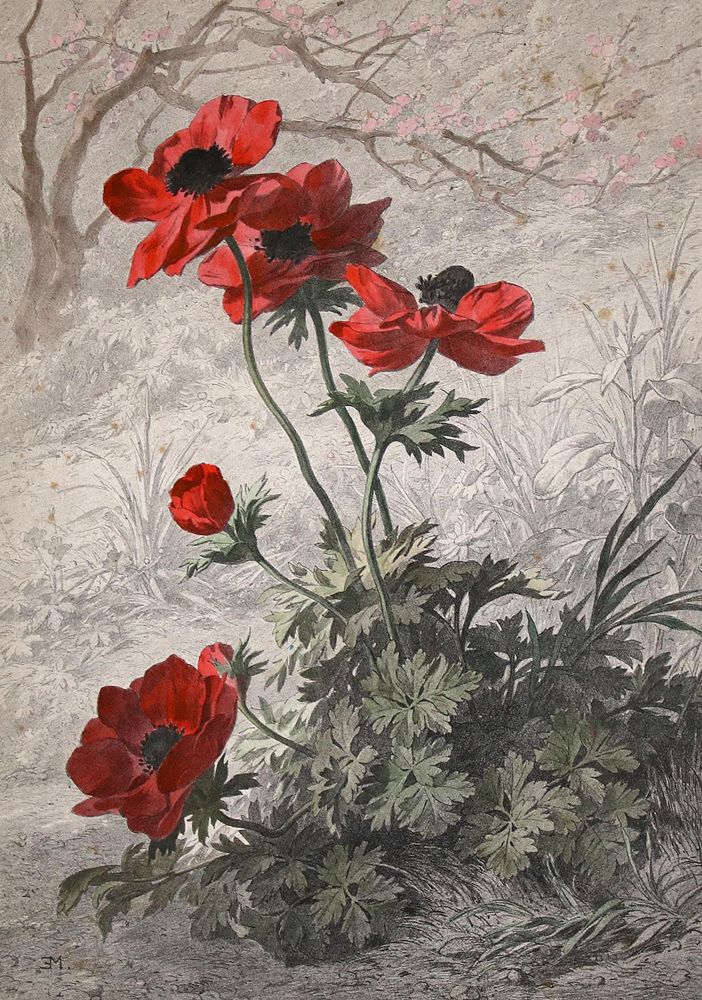 Große Abbildung Nr.7: 140-3404 Blumen.: (Varia, Botanik)