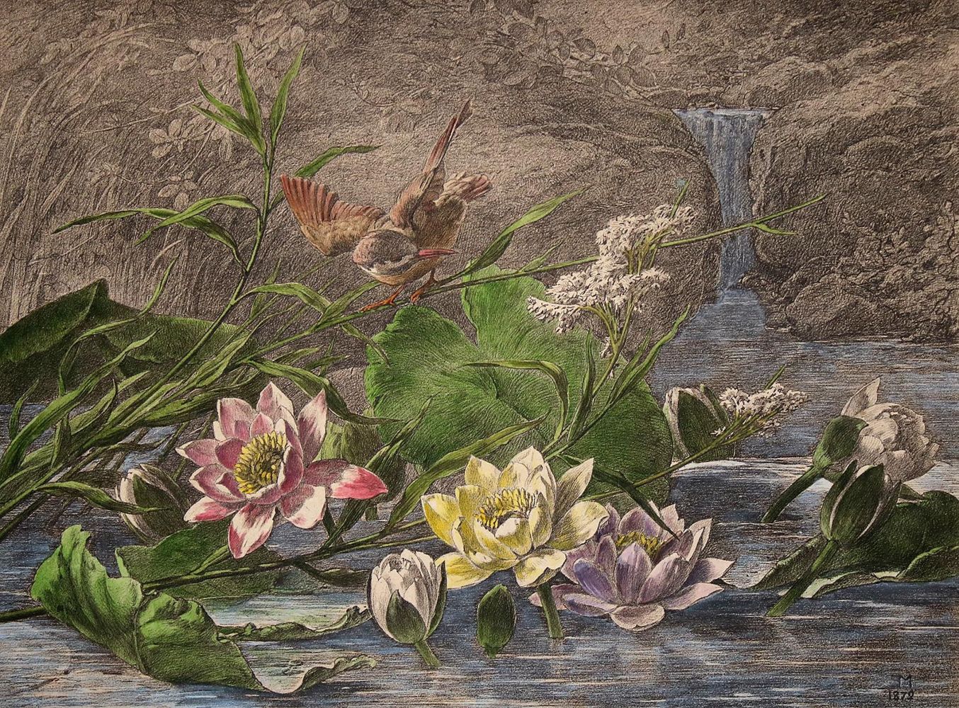 Große Abbildung Nr.9: 140-3404 Blumen.: (Varia, Botanik)