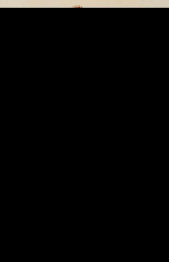 Große Abbildung Nr.3: 140-3406 Konvolut: (Varia, Botanik)