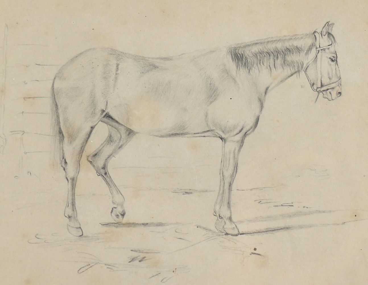 Große Abbildung Nr.1: 140-3486 Tiere.: (Varia, Zoologie)