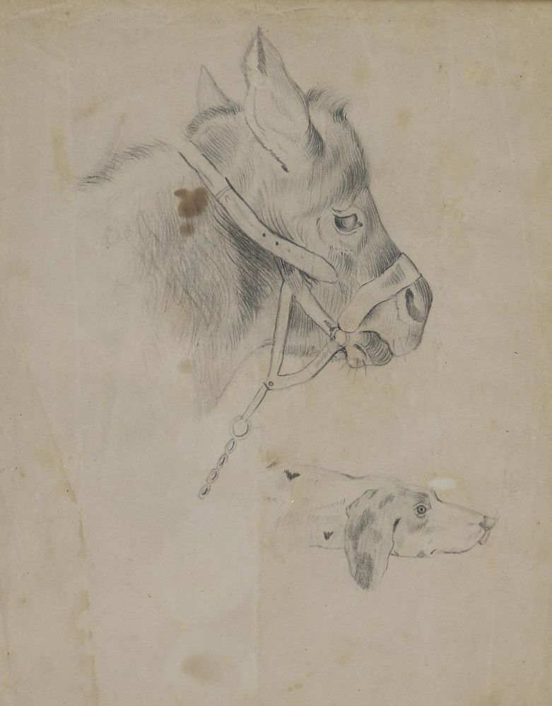 Große Abbildung Nr.2: 140-3486 Tiere.: (Varia, Zoologie)