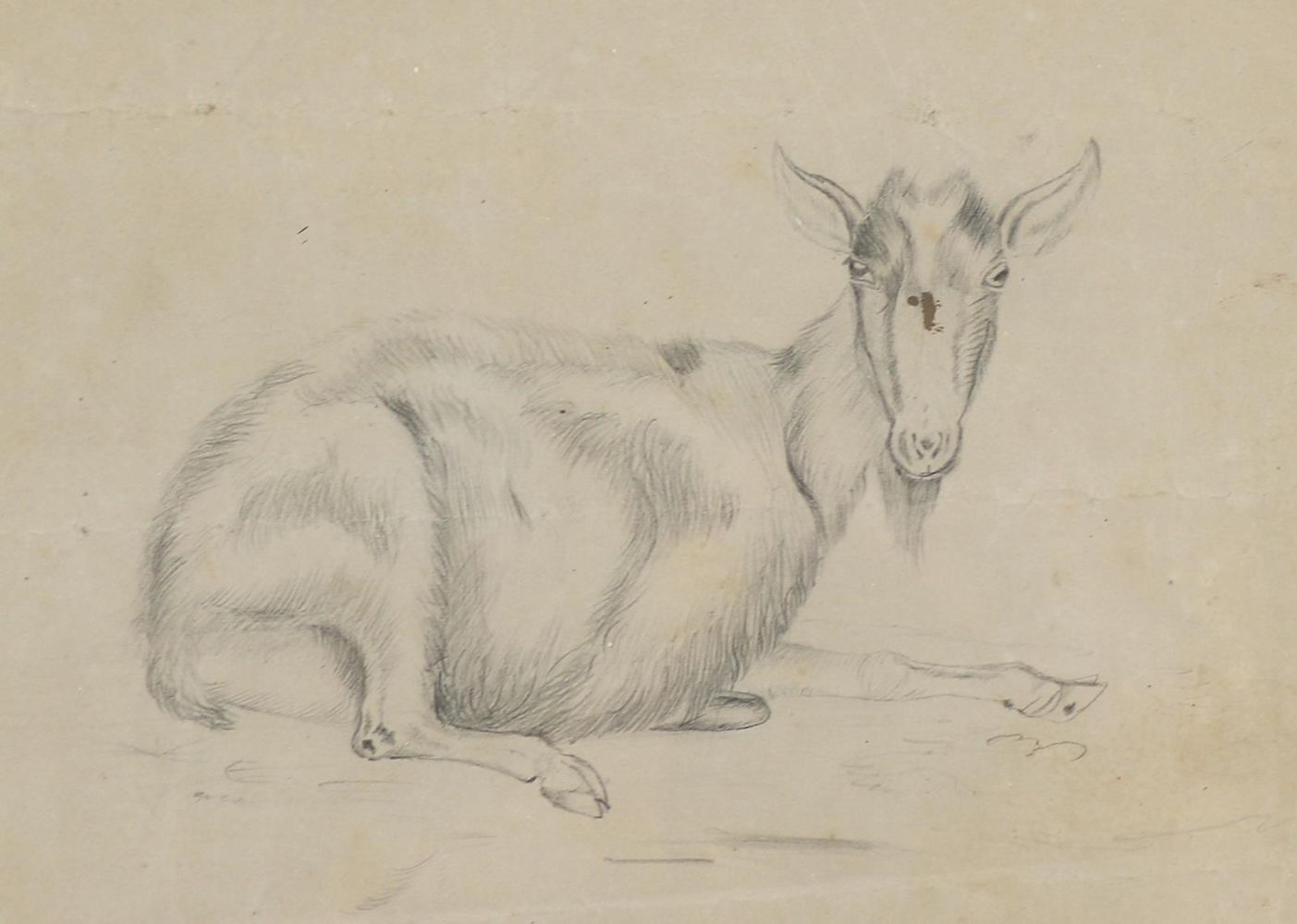 Große Abbildung Nr.3: 140-3486 Tiere.: (Varia, Zoologie)