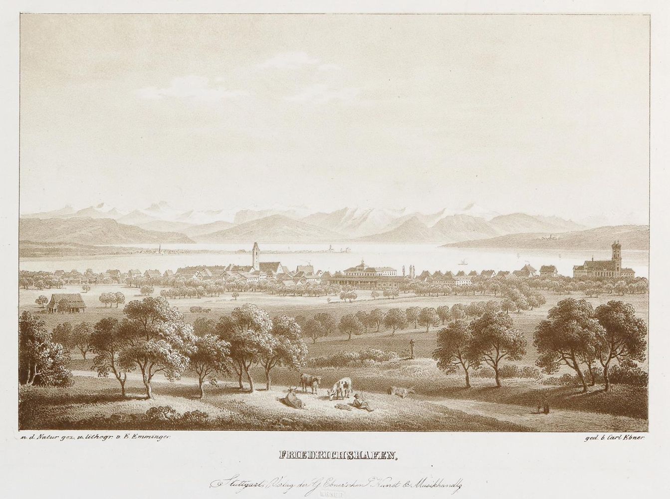 Große Abbildung Nr.1: 140-3531 Friedrichshafen.: (Deutschland)