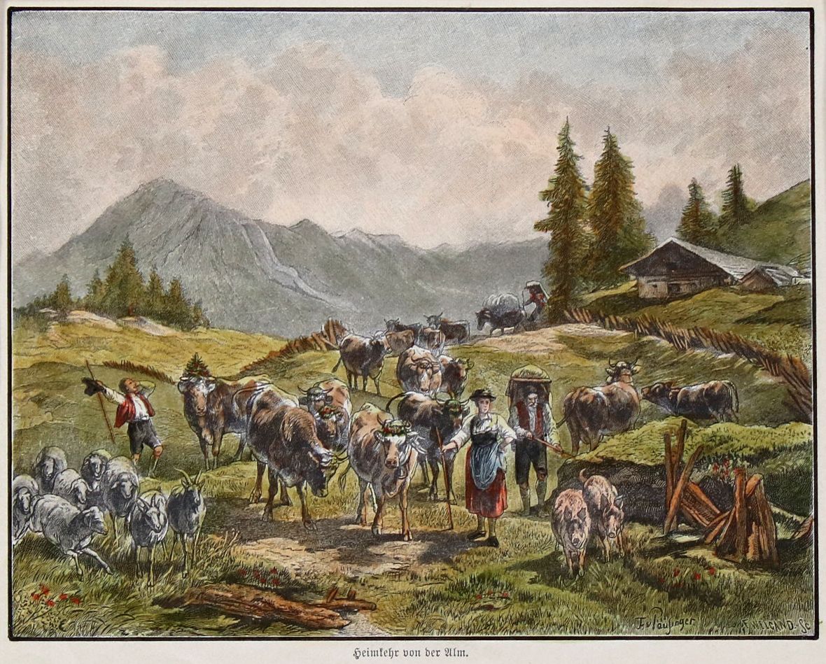 Große Abbildung Nr.5: 140-3703 Konvolut: (Ausland, Österreich)