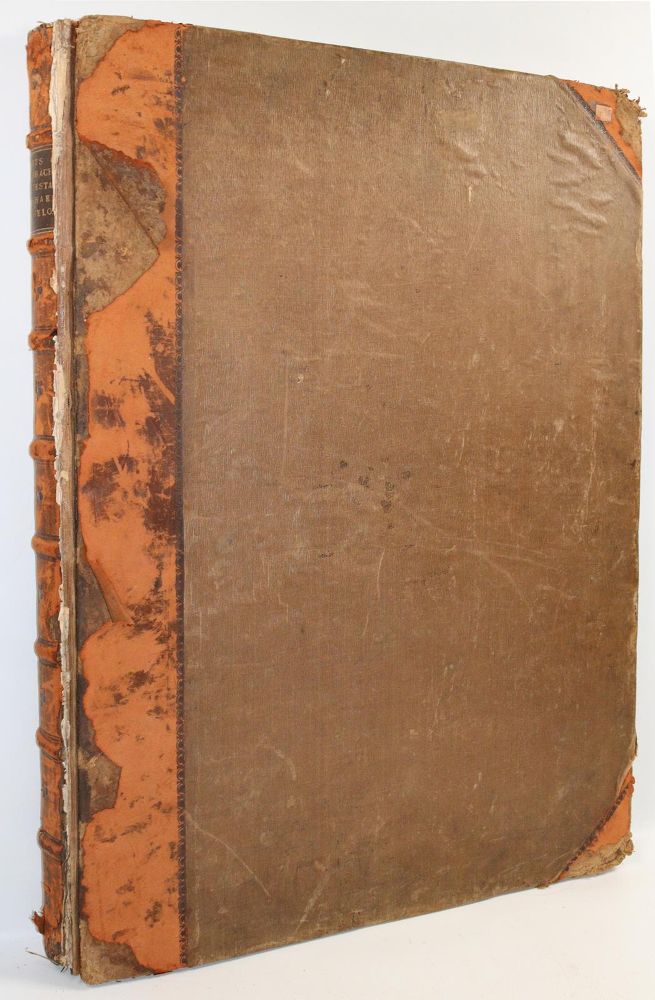 Große Abbildung Nr.3: 140-3882 Carracci, Annibale: (Künstlergraphik)