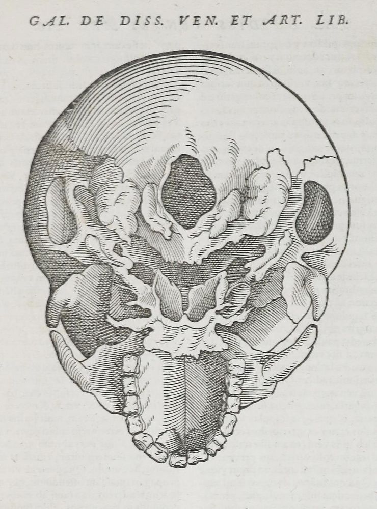 Große Abbildung Nr.2: 140-392 Lacuna,A.: (Alte Drucke, Handschriften und Theologie)