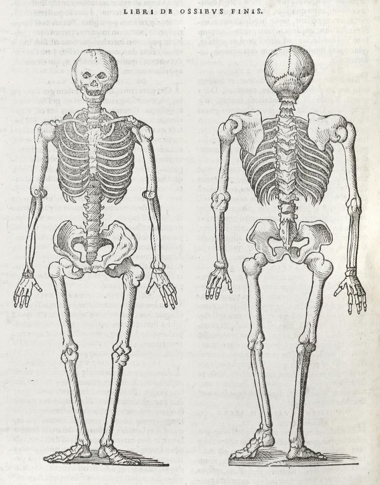 Große Abbildung Nr.3: 140-392 Lacuna,A.: (Alte Drucke, Handschriften und Theologie)