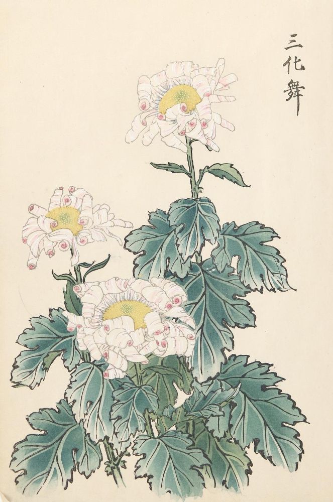 Große Abbildung Nr.2: 140-4158 Keika, Hasegawa: (Künstlergraphik, Japan)