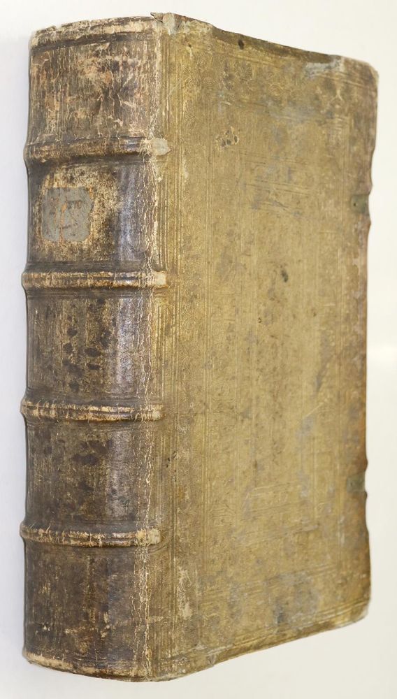 Große Abbildung Nr.2: 140-423 Luther,M.: (Luther)