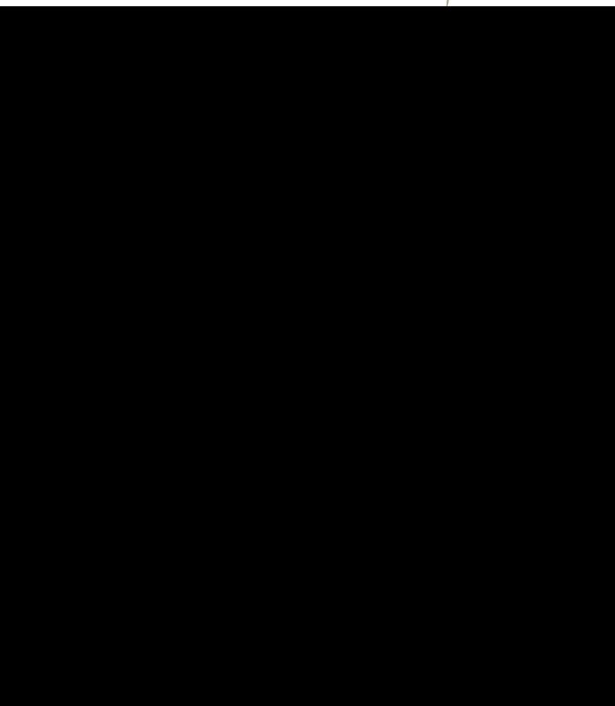 Große Abbildung Nr.2: 140-445 Manzin (Mancinus),L.: (Alte Drucke, Handschriften und Theologie)