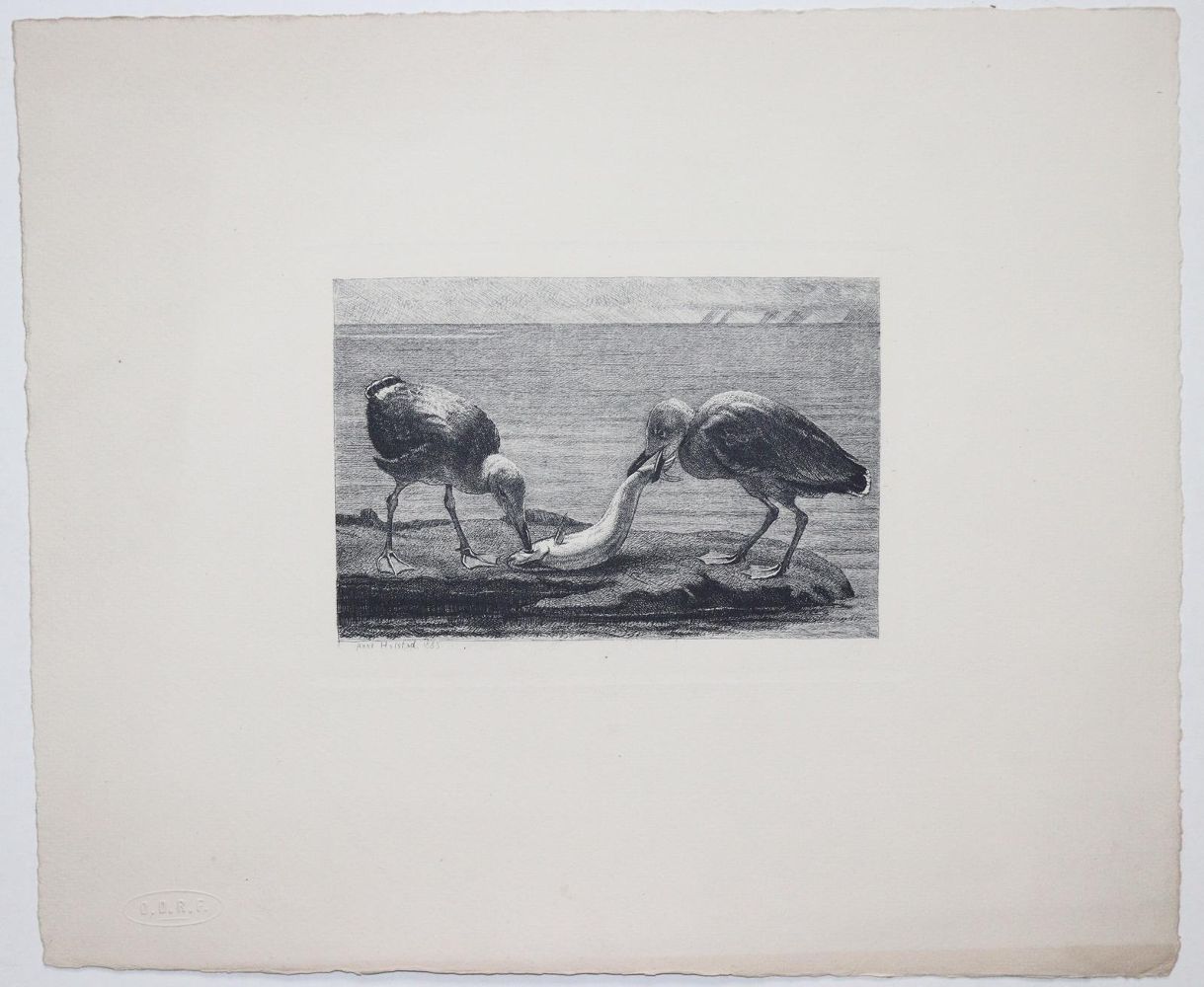 Große Abbildung Nr.229: 140-4568 Sammlung: (Künstlergraphik)