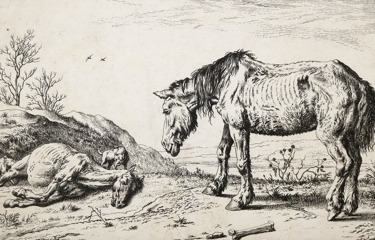 Große Abbildung Nr.1: 140-4582 Sammlung: (Künstlergraphik)