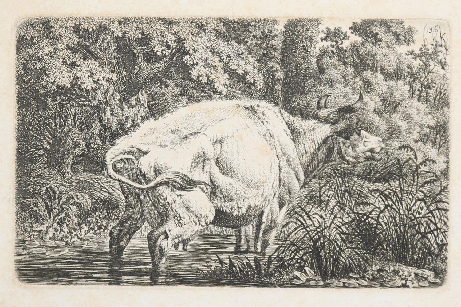 Große Abbildung Nr.4: 140-4675 Tiere und Landschaften.: (Künstlergraphik)